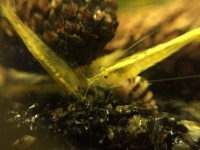 /album/fotogalerij/unspecified-11-jpeg/