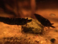 /album/fotogalerij/unspecified-14-jpeg/