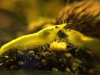 /album/fotogalerij/unspecified-20-jpeg/