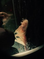 /album/fotogalerij/unspecified-23-jpeg/