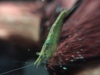 /album/fotogalerij/unspecified-24-jpeg/