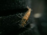 /album/fotogalerij/unspecified-35-jpeg/