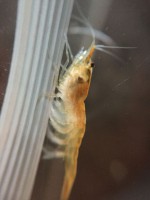 /album/fotogalerij/unspecified-37-jpeg/