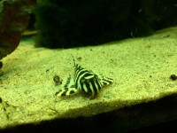 /album/fotogalerij/unspecified-49-jpeg/