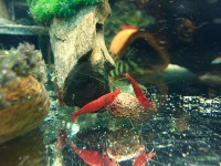 /album/fotogalerij/a1-jpg/