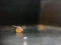 /album/fotogalerij/a8-jpg/