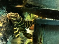 /album/fotogalerij/a10-jpg/