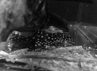 /album/fotogalerij/img-2018-jpg1/