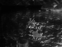 /album/fotogalerij/img-1692-jpg/